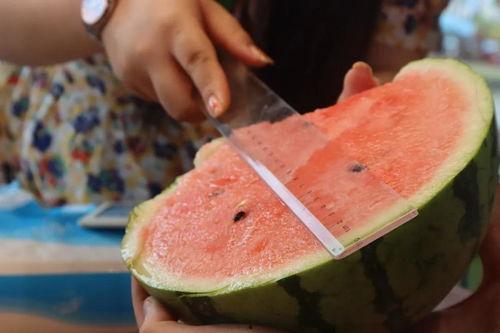 万人求购吃瓜,吃瓜热潮席卷全国！