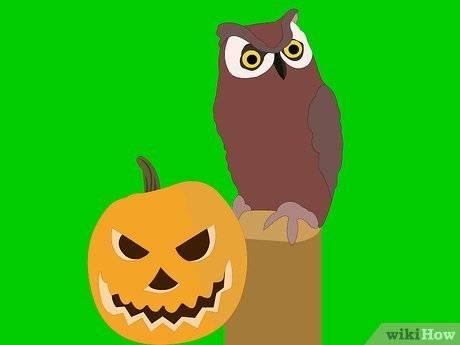 如何防止松鼠吃瓜,实用防鼠攻略大揭秘