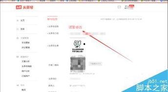 今日头条 昵称 改名字,潮流小达人，副标题：揭秘潮流趋势，打造个性风采