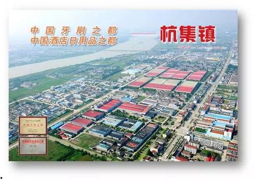 肃宁县新城镇新闻头条,聚焦乡村振兴新篇章