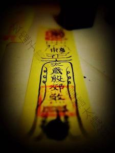 玄符最新爆料视频大全下载,揭秘神秘事件背后的真相