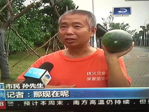 吃瓜群众围观事件,围观事件背后的真相与反思