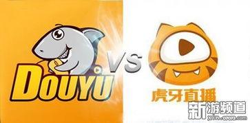 虎牙的瓜在哪里吃,揭秘最佳品尝地