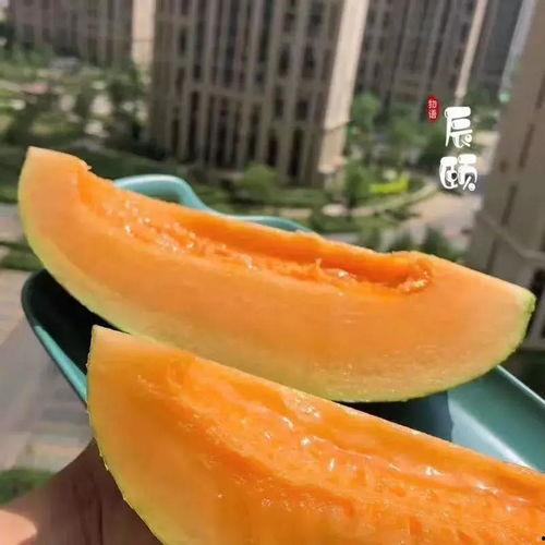 瓜蜜怎么吃,解锁夏日清凉新吃法