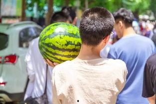 吃瓜椰子绿,探寻吃瓜椰子绿的独特魅力