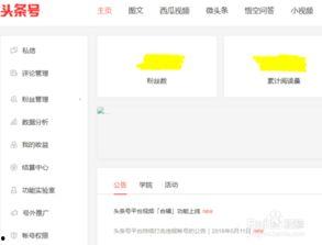 个人头条号发视频,揭秘个人头条号创作背后的心路历程