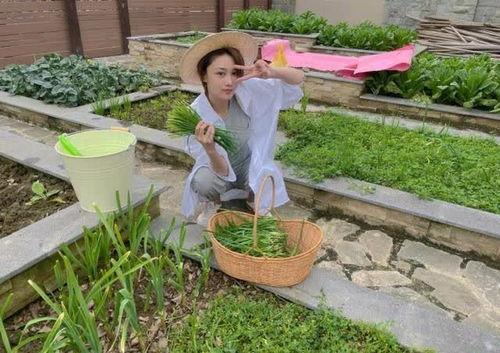 明星种菜,从田间地头到荧幕前的绿色转型
