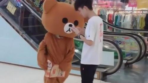 真人网红熊,从网络红人到现象级偶像的蜕变之路