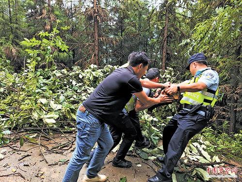 罗平新闻头条公安局局长,守护平安