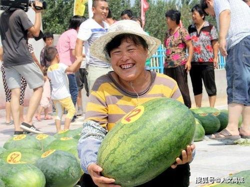 成都沙河事件吃瓜