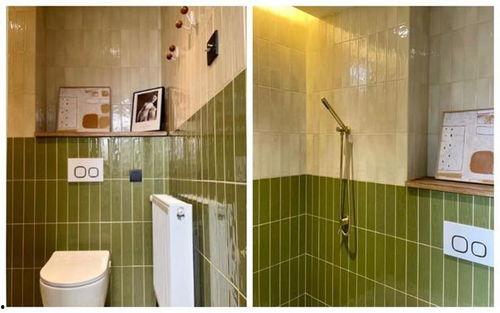 网红厕所的问题有哪些,背后问题与挑战全揭秘