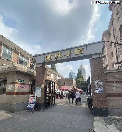 上海蒲城新闻头条,聚焦最新动态，共话发展新篇章