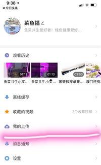 邢台今日头条视频讲解,揭秘城市新动态，带你领略家乡风采