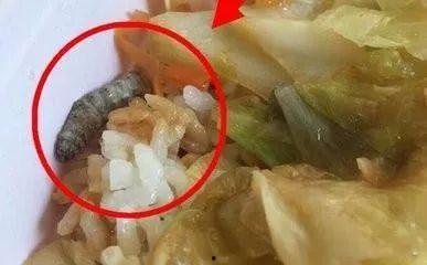 孕妇吃瓜里面吃到虫子,孕妇吃瓜意外吃到虫子，食品安全引关注