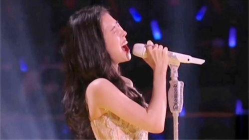 明星台下听歌,沉浸音乐魅力之中