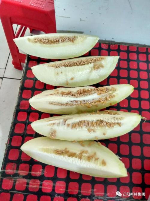 带您吃瓜,一探究竟的美食之旅