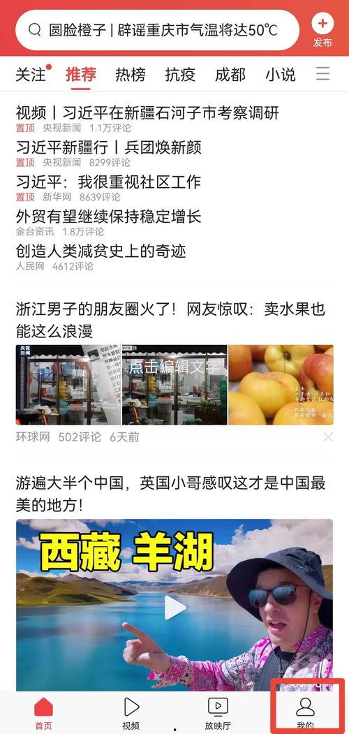 头条怎么查看点赞数量,如何轻松查看头条文章点赞数量