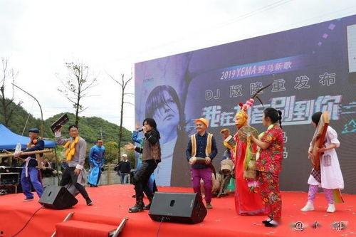 宁河区新媒体网红公司,引领潮流的数字内容创新先锋