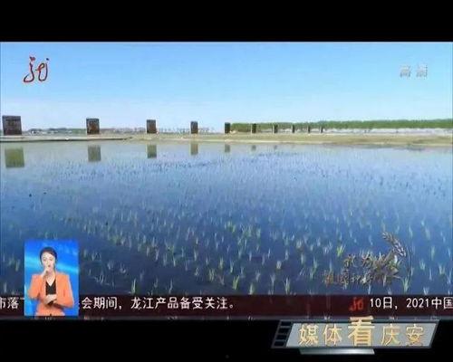 内乡新闻头条大桥限号