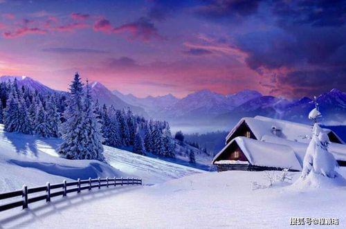今日头条拍雪景图片文案,捕捉时光的纯净瞬间