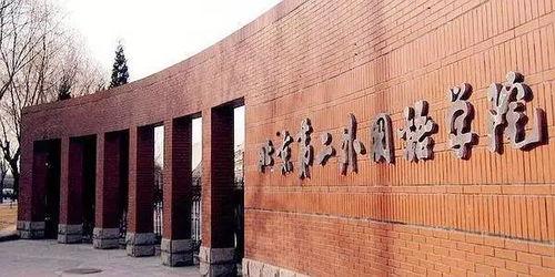 娱乐吃瓜酱大学