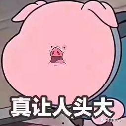 吃瓜群众贴吧微博