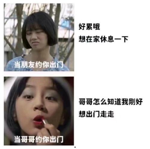 娱乐圈吃瓜爆料沙雕小说