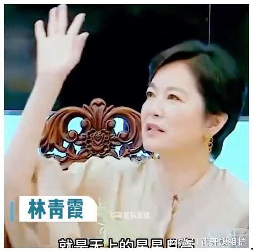 娱乐圈哪里吃瓜最真实