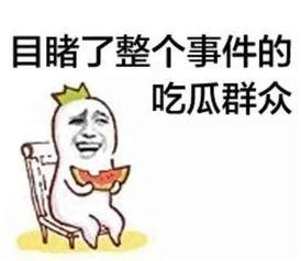 娱乐吃瓜文案搞笑视频,带你领略娱乐圈的欢乐瞬间
